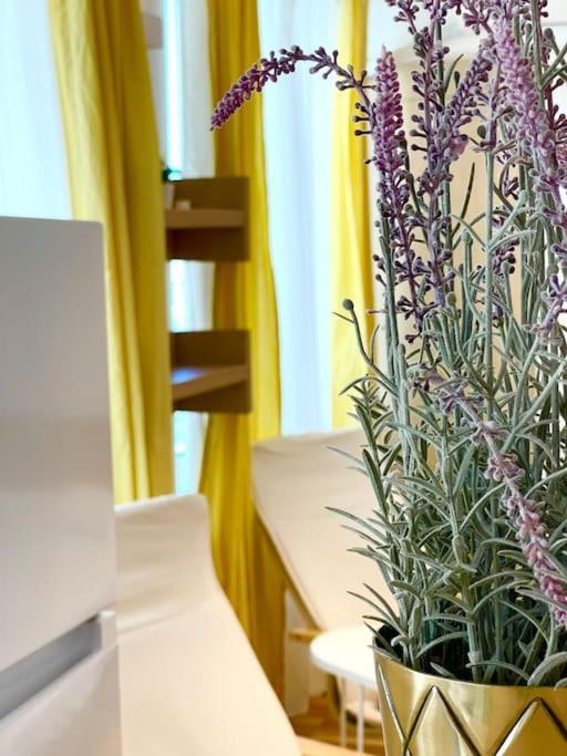 Boutique In The Center Apartment Bukarest